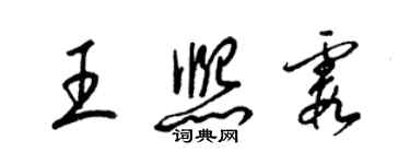 梁锦英王熙霞草书个性签名怎么写