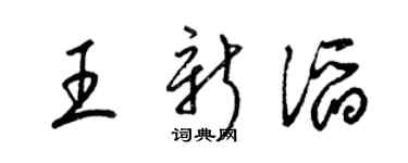 梁锦英王新滔草书个性签名怎么写