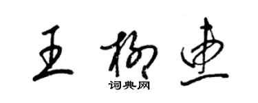 梁锦英王柳惠草书个性签名怎么写