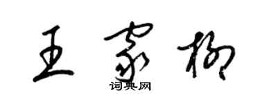 梁锦英王家柳草书个性签名怎么写