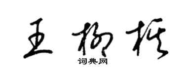 梁锦英王柳棋草书个性签名怎么写