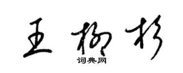 梁锦英王柳杉草书个性签名怎么写