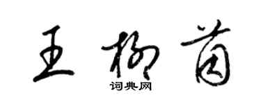 梁锦英王柳茵草书个性签名怎么写