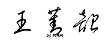 梁锦英王菁韶草书个性签名怎么写