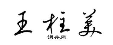 梁锦英王柱美草书个性签名怎么写