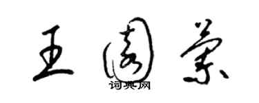梁锦英王园兰草书个性签名怎么写