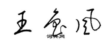 梁锦英王鲁风草书个性签名怎么写