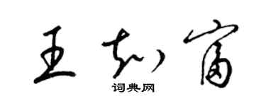 梁锦英王知富草书个性签名怎么写