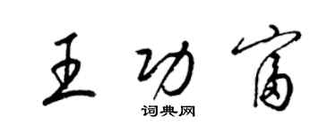 梁锦英王功富草书个性签名怎么写