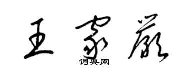 梁锦英王家严草书个性签名怎么写