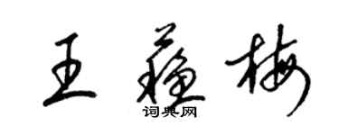 梁锦英王苏梅草书个性签名怎么写