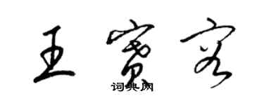 梁锦英王赛容草书个性签名怎么写