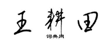梁锦英王耕田草书个性签名怎么写