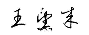 梁锦英王望来草书个性签名怎么写