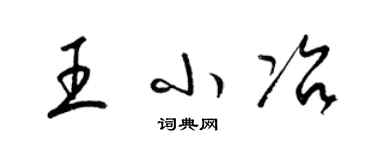 梁锦英王小冶草书个性签名怎么写