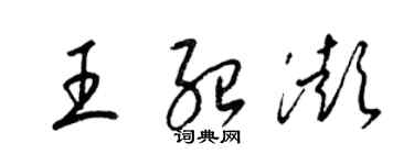 梁锦英王绍澎草书个性签名怎么写