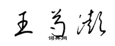 梁锦英王芍澎草书个性签名怎么写