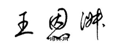 梁锦英王恩淑草书个性签名怎么写