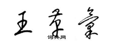 梁锦英王革汇草书个性签名怎么写