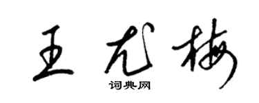 梁锦英王尤梅草书个性签名怎么写