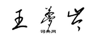 梁锦英王梦岑草书个性签名怎么写