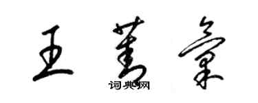 梁锦英王菁汇草书个性签名怎么写
