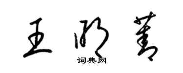 梁锦英王明菁草书个性签名怎么写