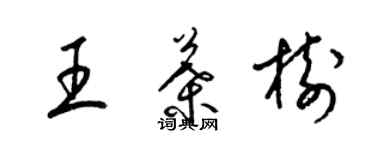 梁锦英王叶树草书个性签名怎么写