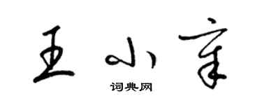 梁锦英王小章草书个性签名怎么写