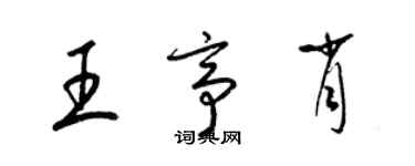 梁锦英王亭肖草书个性签名怎么写