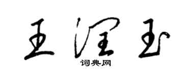 梁锦英王润玉草书个性签名怎么写