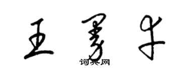 梁锦英王曼幸草书个性签名怎么写
