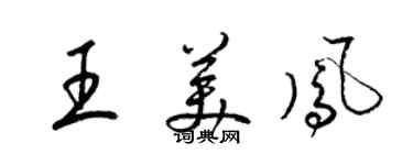 梁锦英王美凤草书个性签名怎么写