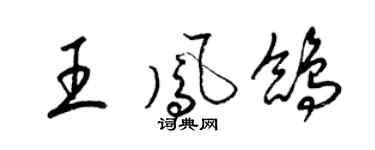 梁锦英王凤鸽草书个性签名怎么写
