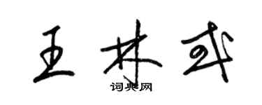 梁锦英王林或草书个性签名怎么写