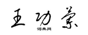 梁锦英王功兰草书个性签名怎么写