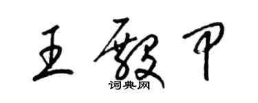 梁锦英王殿甲草书个性签名怎么写