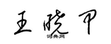 梁锦英王晓甲草书个性签名怎么写