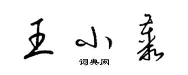 梁锦英王小丛草书个性签名怎么写