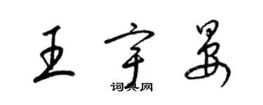 梁锦英王宇晏草书个性签名怎么写