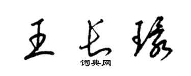 梁锦英王长环草书个性签名怎么写