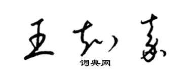 梁锦英王知嘉草书个性签名怎么写