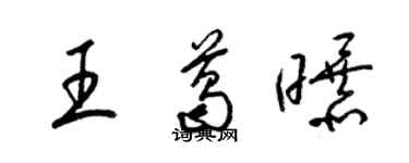 梁锦英王葛曝草书个性签名怎么写