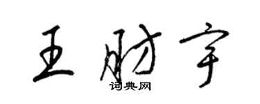 梁锦英王肪宇草书个性签名怎么写