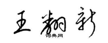 梁锦英王翻新草书个性签名怎么写