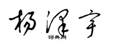 梁锦英杨泽宇草书个性签名怎么写
