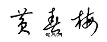 梁锦英黄春梅草书个性签名怎么写