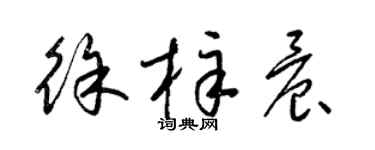 梁锦英徐梓晨草书个性签名怎么写