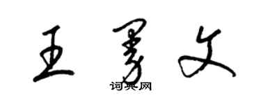 梁锦英王曼文草书个性签名怎么写