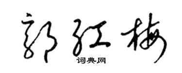 梁锦英郭红梅草书个性签名怎么写